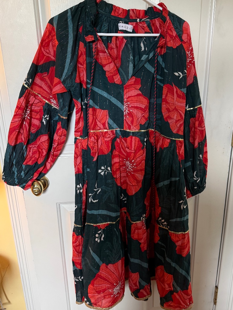 Nwot Naudic Molly Dress In Dark Teal/Red Floral With Gold Thread Detail